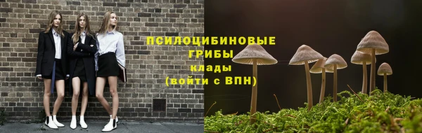 мдпв Горно-Алтайск