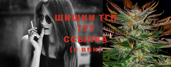 мдпв Горно-Алтайск