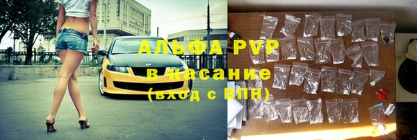 мдпв Горно-Алтайск