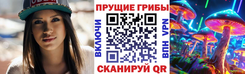 Купить  Кедровый  Псилоцибиновые грибы GOLDEN TEACHER 