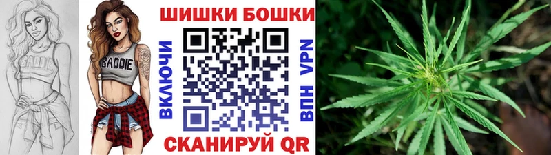 Купить где  Кедровый  Бошки Шишки VHQ 